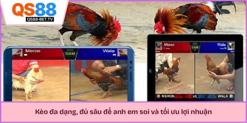 Kèo đa dạng, đủ sâu để anh em soi và tối ưu lợi nhuận