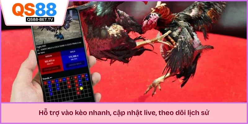 Hỗ trợ vào kèo nhanh, cập nhật live, theo dõi lịch sử
