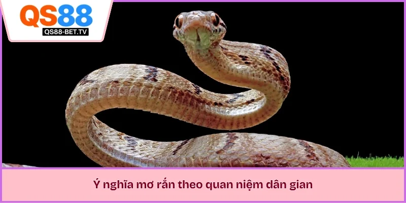 Ý nghĩa mơ rắn theo quan niệm dân gian