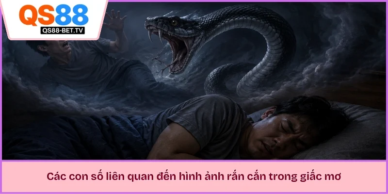 Các con số liên quan đến hình ảnh rắn cắn trong giấc mơ