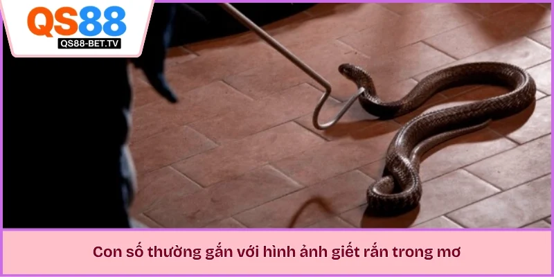 Con số thường gắn với hình ảnh giết rắn trong mơ