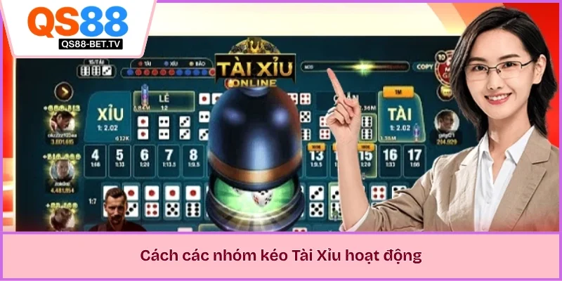 Cách các nhóm kéo Tài Xỉu hoạt động 
